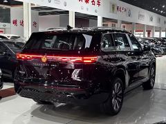Volkswagen Teramont Pro 450TSI 4WD Horizontal Edition - photo 14