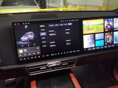 Li Auto L9 Max - ფოტო 20