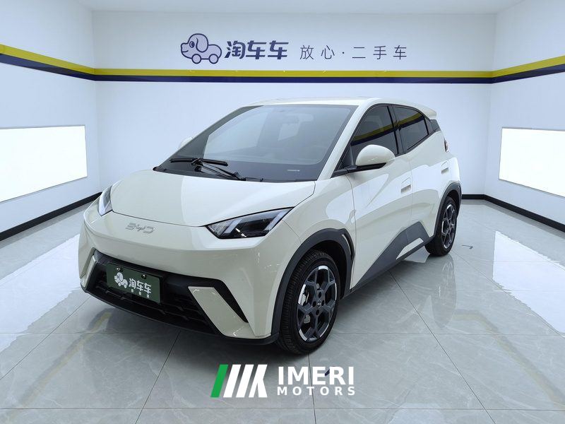 BYD Seagull 305km Free Version - ავტომობილი ჩინეთიდან