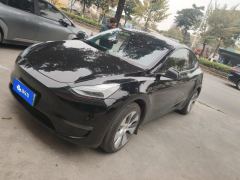 Tesla Model Y 688km Long Range AWD - ფოტო 1