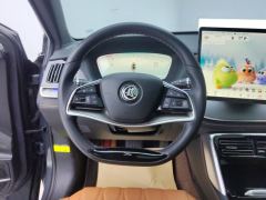 BYD Tang DM-i Champion Edition 1.5T 112km Precursor Honorable Type 7-seater - ფოტო 18