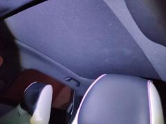 BYD Dolphin 405km Stylish Edition - ფოტო 15