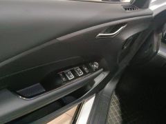 Wuling Starlight Plug-in Hybrid 1.5L 150km Advanced - ფოტო 13