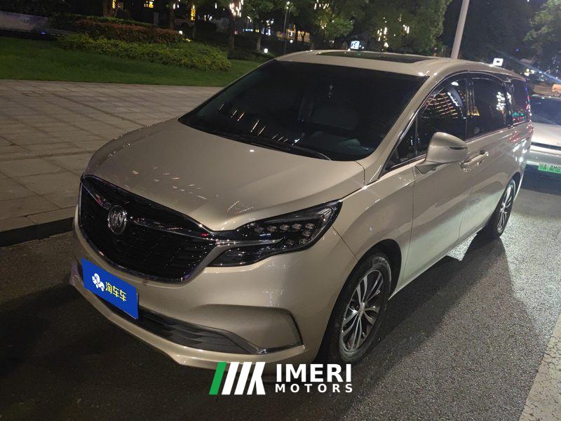 Buick GL8 ES Luxury Edition 653T Comfort Edition 7-seater
