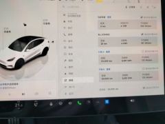 Tesla Model Y 615km Performance High-Performance AWD Version - ფოტო 20