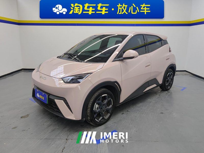 BYD Seagull Honor Edition 305km Free Version - ავტომობილი ჩინეთიდან