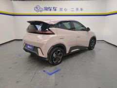 BYD Seagull Honor Edition 305km Free Version - ფოტო 2