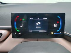 BYD Seagull Honor Edition 305km Free Version - ფოტო 20