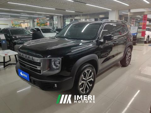 2024 Haval Great Wall Big Dog Great Wall Dog 1.5T 2WD Edge Pastoral Edition - ავტომობილი ჩინეთიდან