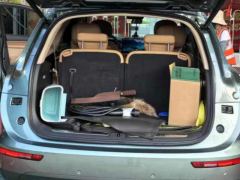 AITO M7 1.5T 230km Edition - ფოტო 7