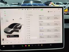Tesla Model 3 606km Rear-Wheel Drive Edition - ფოტო 20