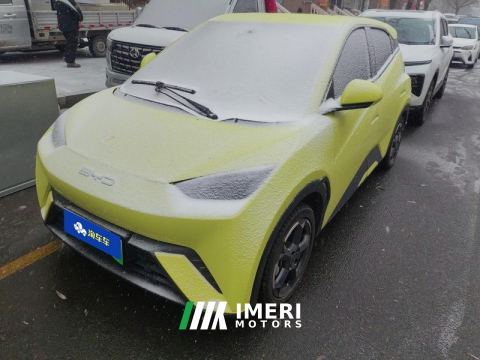 2023 BYD Seagull 405km Flying Edition - car from China