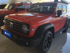 Tank 300 Off-Road Edition 2.0T Conqueror - photo 1