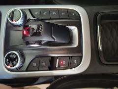 Tank 300 Off-Road Edition 2.0T Conqueror - photo 19