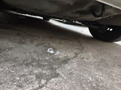 Honda Fit 1.5L Trendy Edition - ფოტო 9