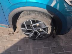 BYD Yuan PLUS Champion Edition 510km Elite Edition - photo 6