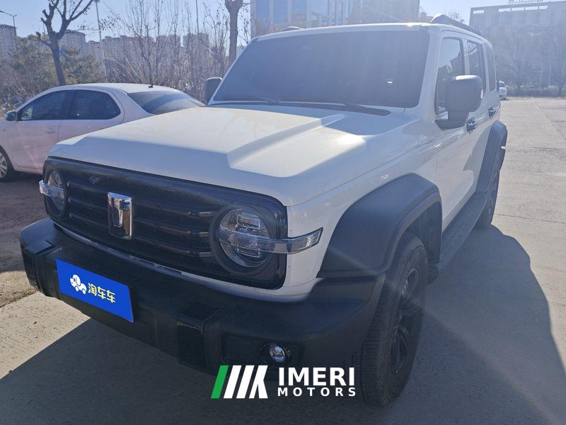 Tank 300 Off-Road Edition 2.0T Conqueror - ავტომობილი ჩინეთიდან