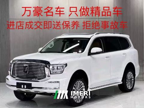 2024 Tank 500 New Energy 2.0T Hi4-T 37.1kWh - car from China