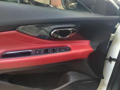 GAC Shadow Leopard 270T J16 Edition - ფოტო 13
