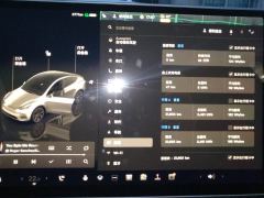 Tesla Model Y 554km Rear-Wheel Drive Edition - ფოტო 20
