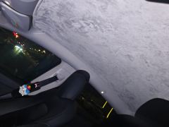 Tesla Model Y 660km Long Range AWD - ფოტო 15