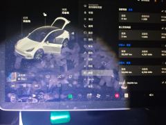 Tesla Model Y 660km Long Range AWD - ფოტო 20