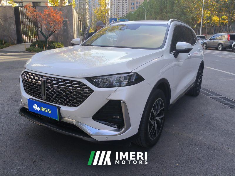 Great Wall PHEV 1.5T 155km AWD - ავტომობილი ჩინეთიდან