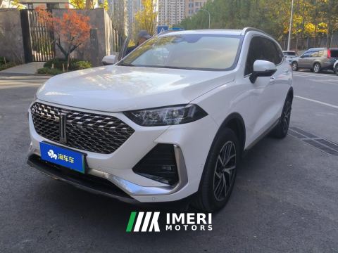 2022 Great Wall PHEV 1.5T 155km AWD - ავტომობილი ჩინეთიდან