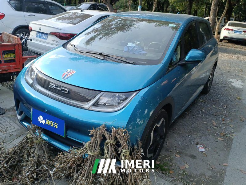 BYD Dolphin 420km Free Version - ავტომობილი ჩინეთიდან