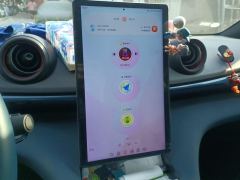 BYD Dolphin 420km Free Version - ფოტო 17