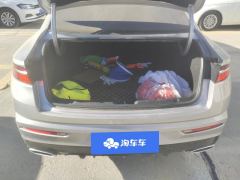 Geely Xingui 2.0TD Premium Version - ფოტო 6