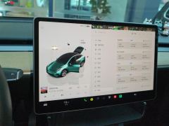 Tesla Model Y 660km Long Range AWD - ფოტო 20