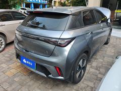 BYD Dolphin 420km Free Version - photo 2