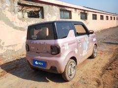 Geely Galaxy Panda mini 200km Animated Bear - ფოტო 2