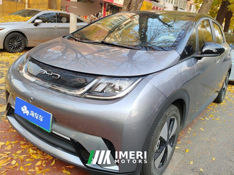 BYD Dolphin 420km Stylish Edition - car from China