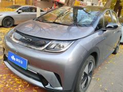 BYD Dolphin 420km Stylish Edition - photo 1