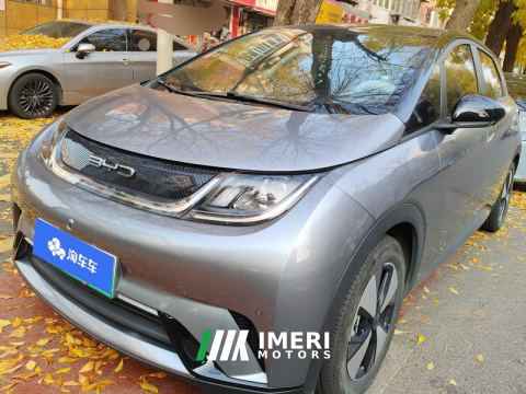 2023 BYD Dolphin 420km Stylish Edition - ავტომობილი ჩინეთიდან