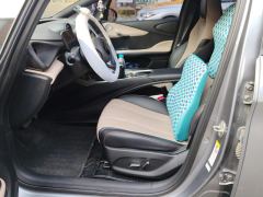 BYD Dolphin 420km Stylish Edition - photo 14