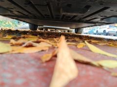 BYD Dolphin 420km Stylish Edition - photo 8