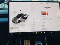 Tesla Model Y 719km Long Range Edition - ფოტო 20