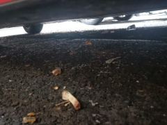 Honda Fit 1.5L Edition - ფოტო 11
