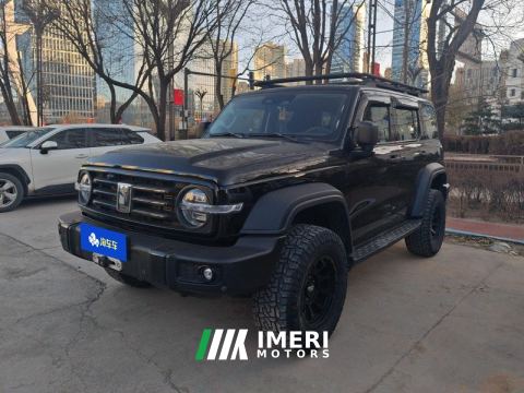 2021 Tank 300 Off-Road Edition 2.0T Conqueror - ავტომობილი ჩინეთიდან