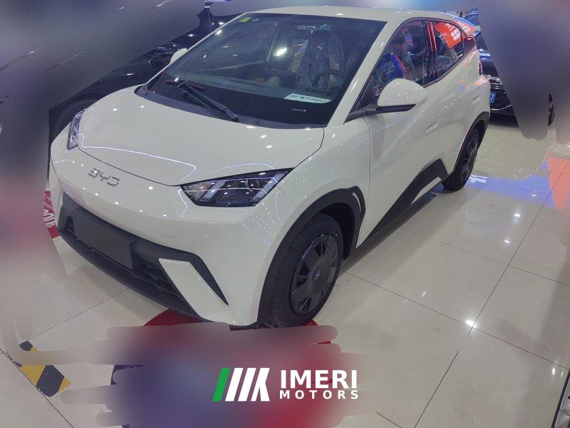 BYD Seagull 305km Vitality Edition