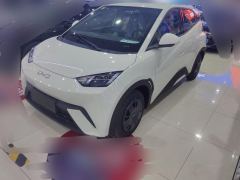 BYD Seagull 305km Vitality Edition - ფოტო 1