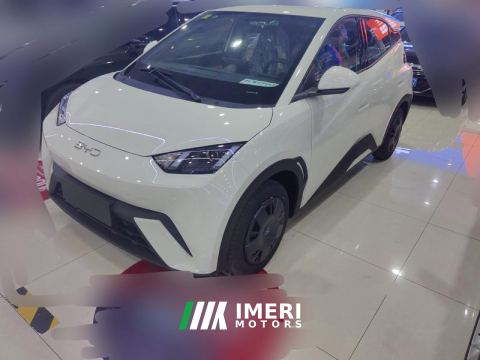 2025 BYD Seagull 305km Vitality Edition - ავტომობილი ჩინეთიდან