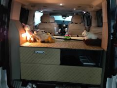 Ford Tourneo 2.0T Edition - ფოტო 7