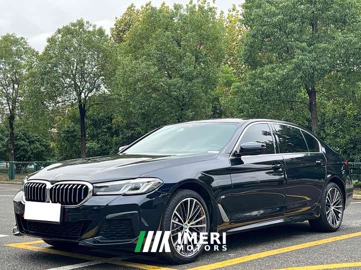 BMW 5 Series 530Li xDrive Luxury Edition - автомобиль из Китая