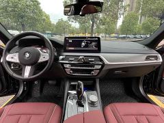 BMW 5 Series 530Li xDrive Luxury Edition - фото 11