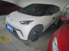 BYD Seagull 305km Free Version - ფოტო 1