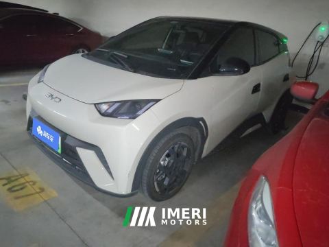 2025 BYD Seagull 305km Free Version - car from China